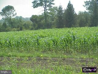 315 Gross Road Quakertown, PA 18951 - Photo 3 of 6 Gallery Image 3