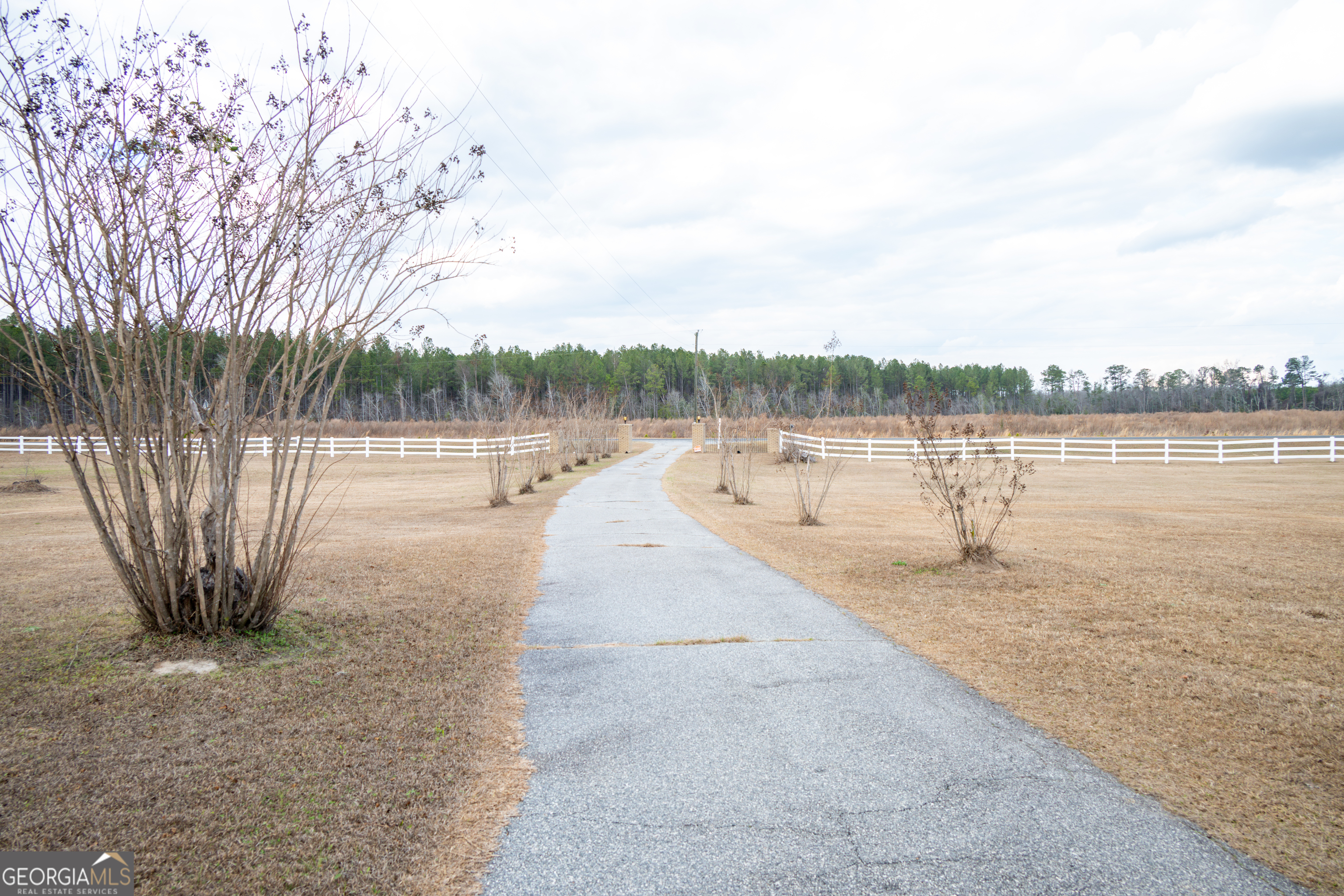 963 Springhill Church Road Alamo, GA 30411 - Photo 117 of 126