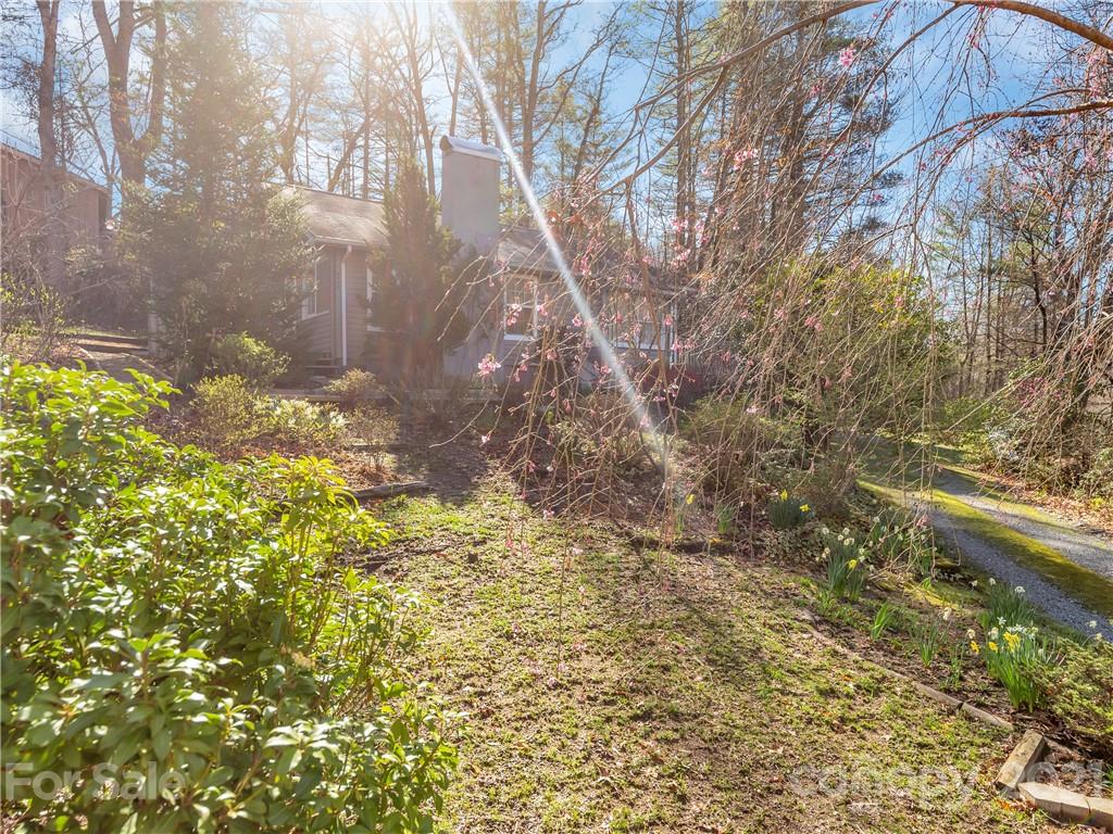 8260 East Fork Road Brevard, NC 28712 - Photo 18 of 42 Gallery Image 18