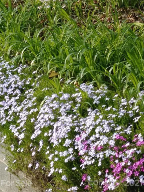 8260 East Fork Road Brevard, NC 28712 - Photo 24 of 42 Gallery Image 24