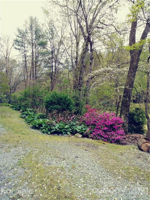 8260 East Fork Road Brevard, NC 28712 - Photo 36 of 42 Gallery Image 36