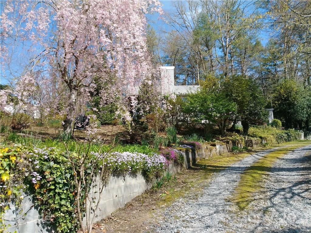 8260 East Fork Road Brevard, NC 28712 - Photo 40 of 42 Gallery Image 40