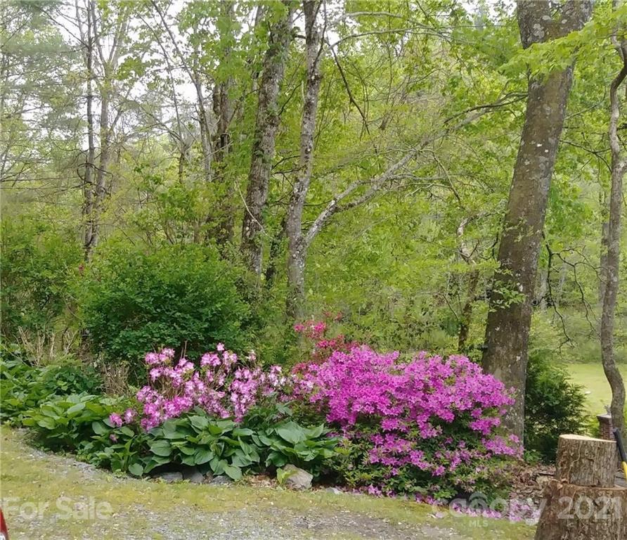 8260 East Fork Road Brevard, NC 28712 - Photo 41 of 42 Gallery Image 41