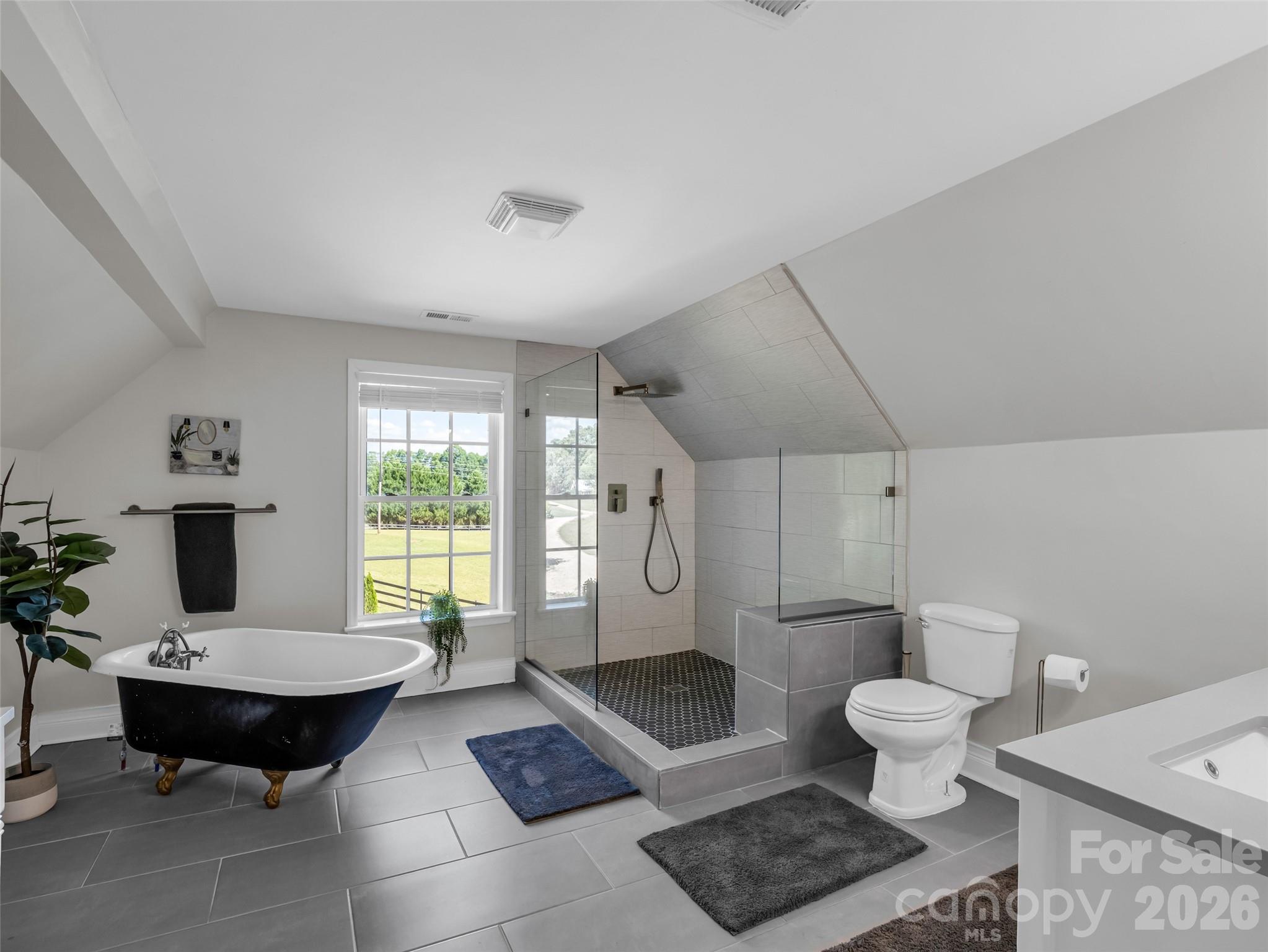 4647 Big Level Road Mill Spring, NC 28756 - Photo 20 of 33