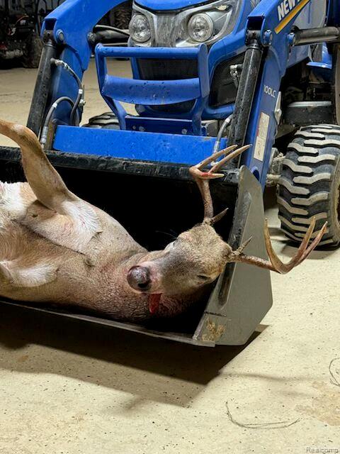 4502 Cemetery Road Kingston, MI 48741 - Photo 57 of 61 deer tractor pic.jpeg