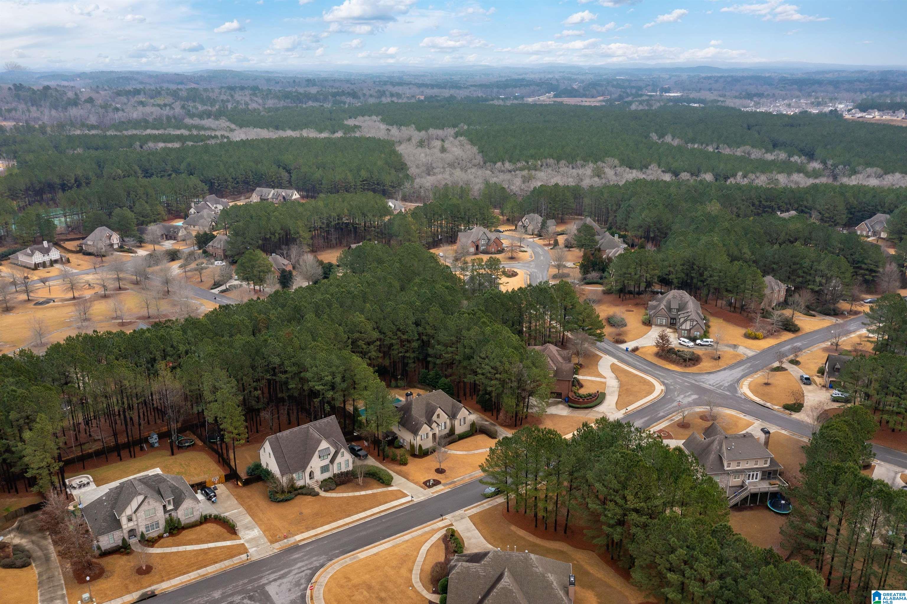 1082 Kingston Road Chelsea, AL 35043 - Photo 43 of 47