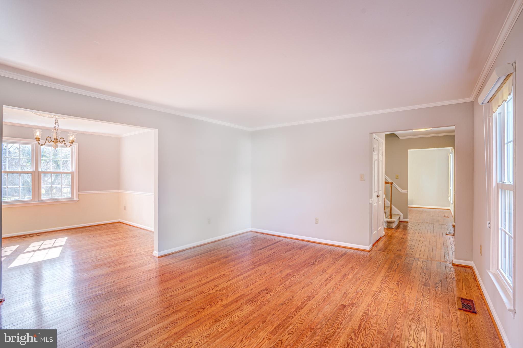 1905 Mayflower Drive Silver Spring, MD 20905 - Photo 17 of 42