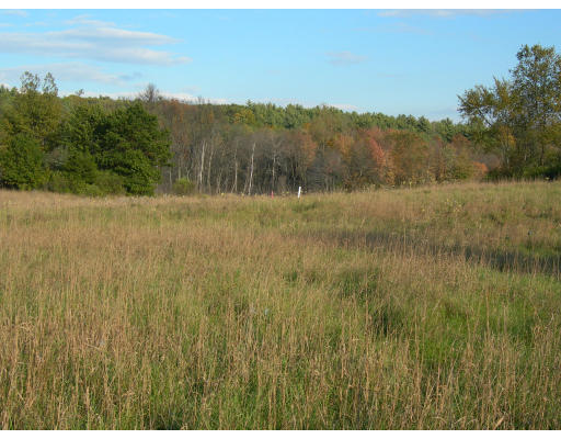 Lot 3 Adams Road Grafton, MA 01519 - Photo 17 of 21 Gallery Image 17