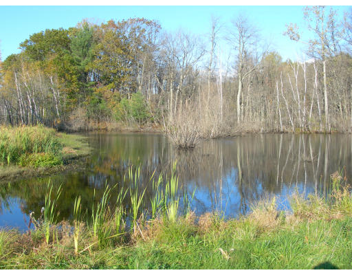 Lot 3 Adams Road Grafton, MA 01519 - Photo 19 of 21 Gallery Image 19