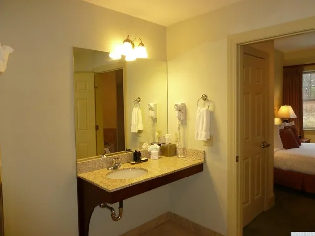 a bathroom with a sink a mirror and a shower