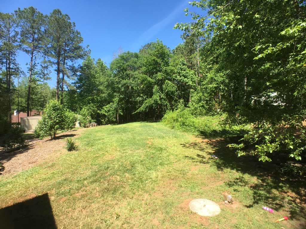 1545 Jones Road Cataula, GA 31804 - Photo 20 of 26 Gallery Image 20