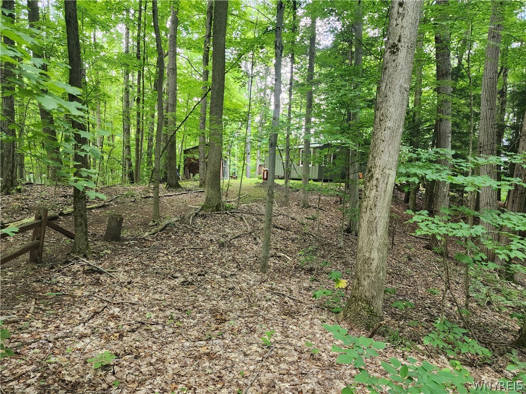 16 Hemlock Road Sheldon, NY 14167 - Photo 26 of 33