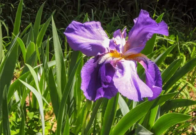 $379,900 | 114 Buxton Drive, Walhalla, SC 29691