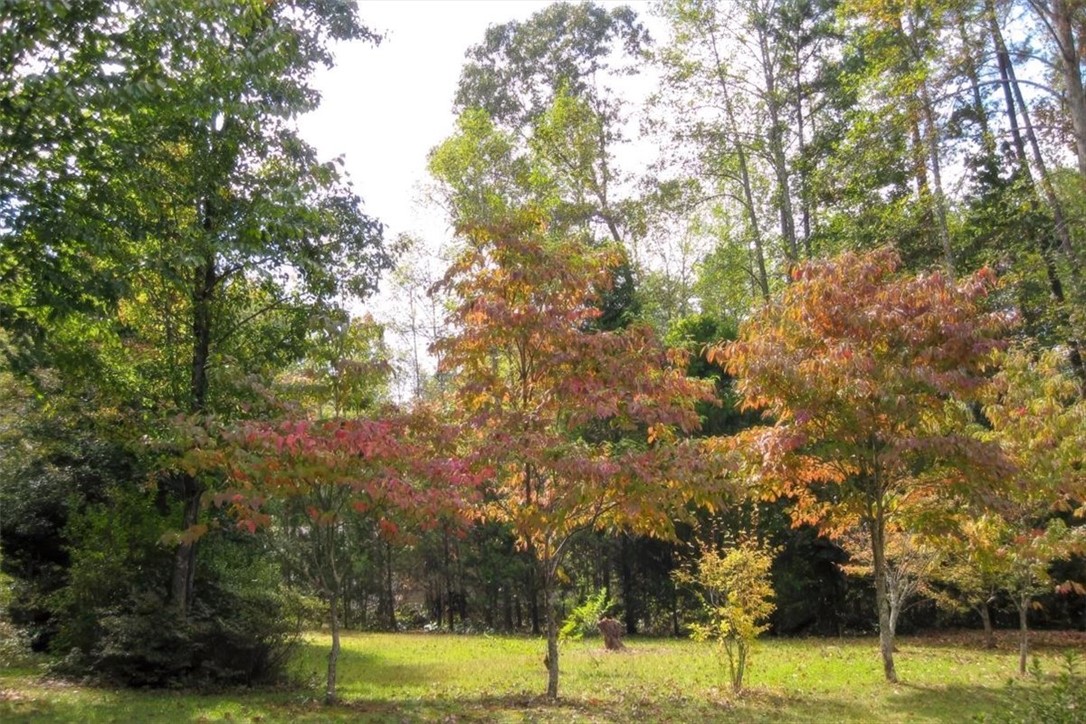 114 Buxton Drive Walhalla, SC 29691 - Photo 48 of 50