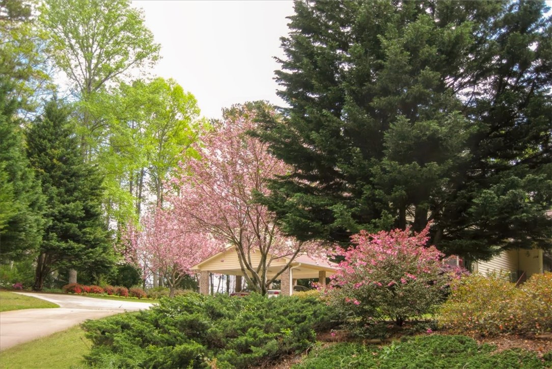 114 Buxton Drive Walhalla, SC 29691 - Photo 49 of 50