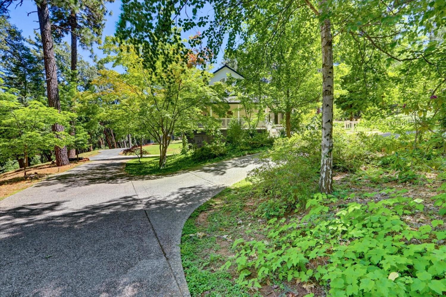 14381 Sunrock Road Nevada City, CA 95959 - Photo 62 of 88