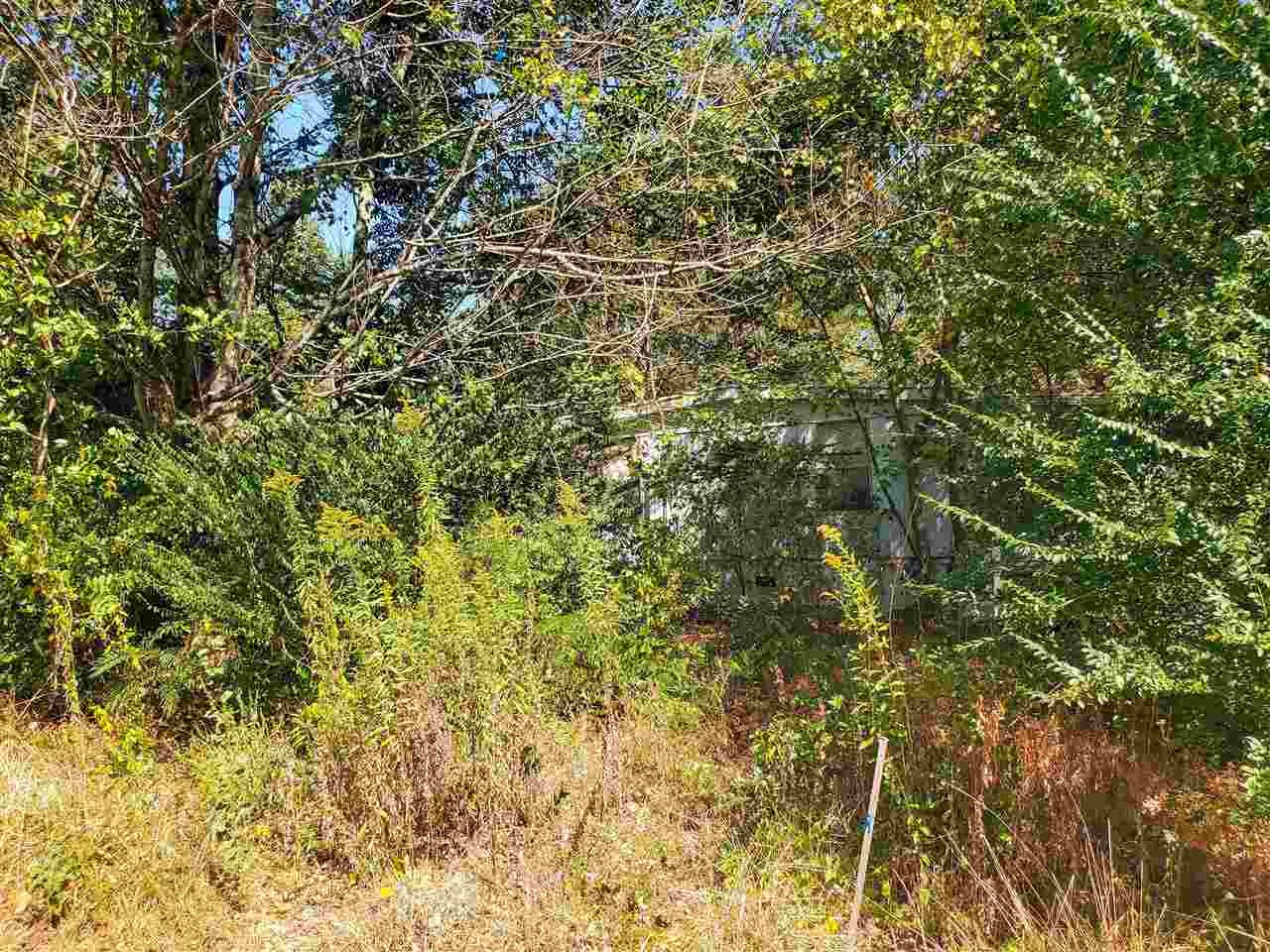 1532 Back Valley Road Dayton, TN 37321 - Photo 4 of 4