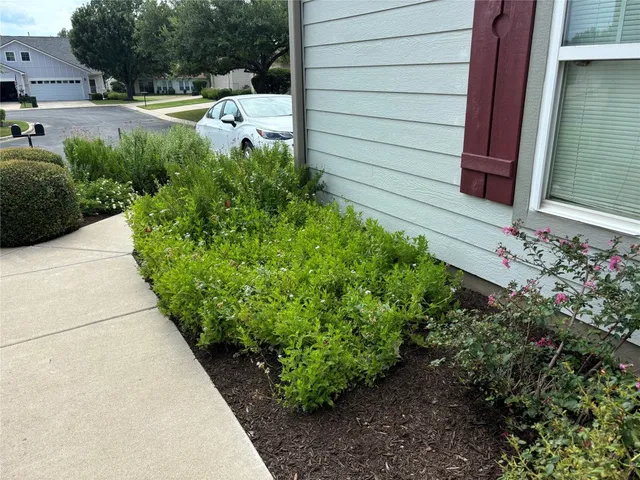 a view of a backyard with plants
