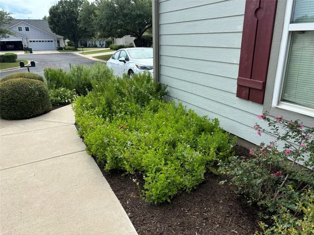 a view of a backyard with plants