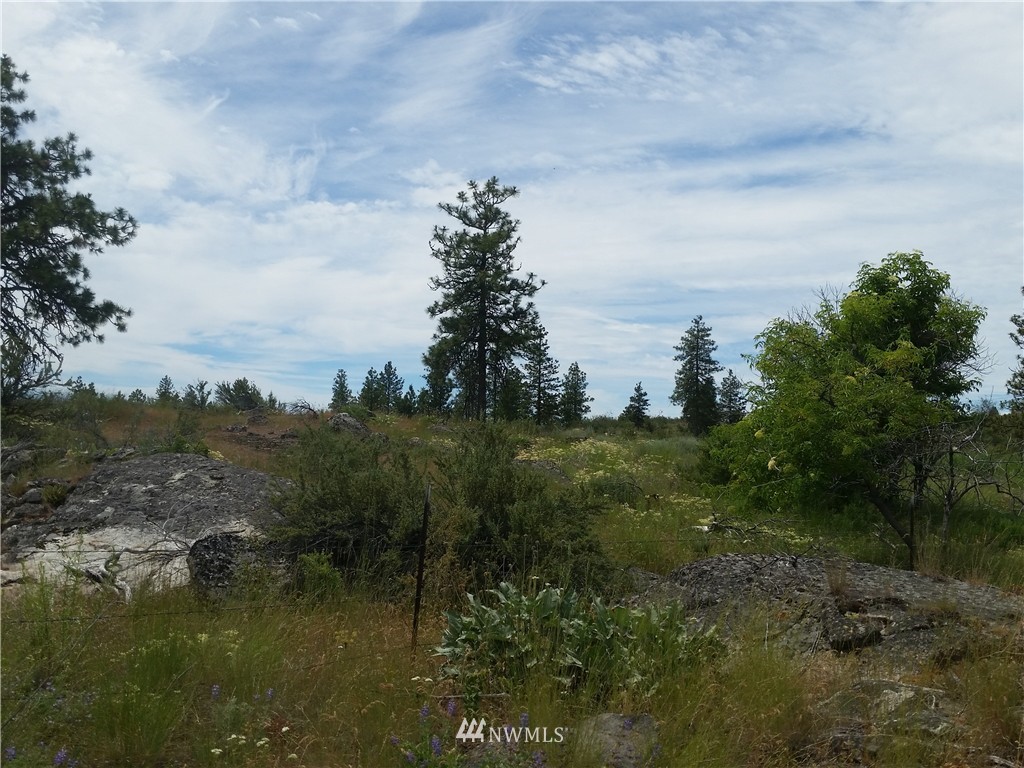 -tbd Cameron Lake Loop Road Okanogan, WA 98840 - Photo 1 of 10 Gallery Image 1