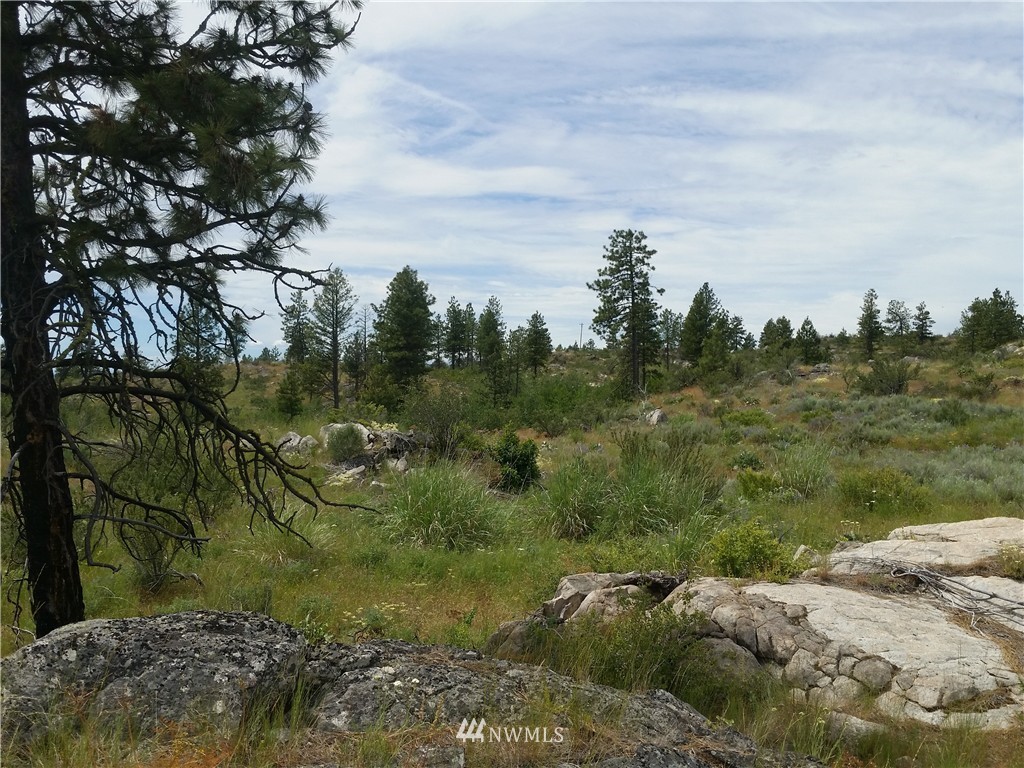 -tbd Cameron Lake Loop Road Okanogan, WA 98840 - Photo 3 of 10 Gallery Image 3