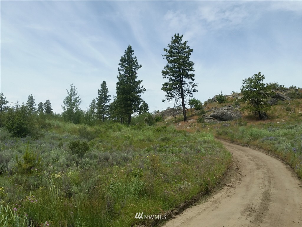 -tbd Cameron Lake Loop Road Okanogan, WA 98840 - Photo 4 of 10 Gallery Image 4
