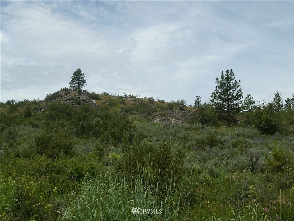 -tbd Cameron Lake Loop Road Okanogan, WA 98840 - Photo 5 of 10 Gallery Image 5
