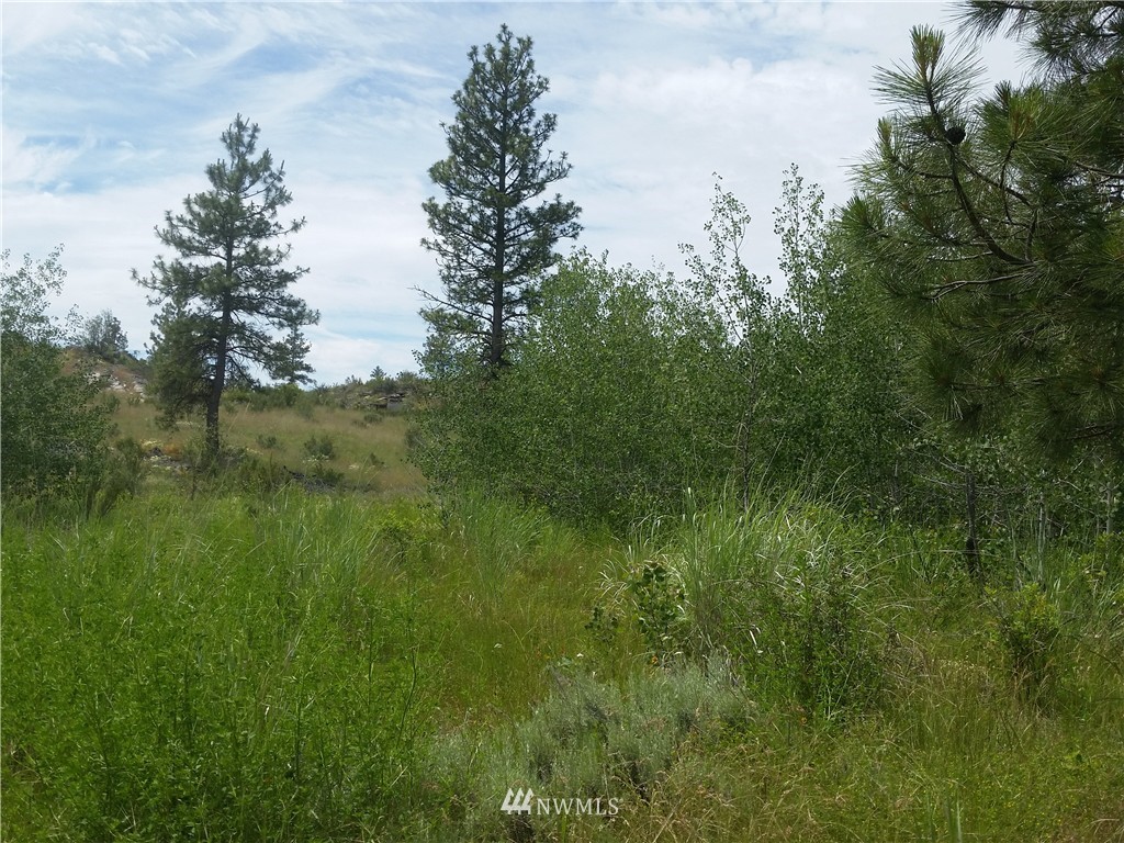 -tbd Cameron Lake Loop Road Okanogan, WA 98840 - Photo 6 of 10 Gallery Image 6