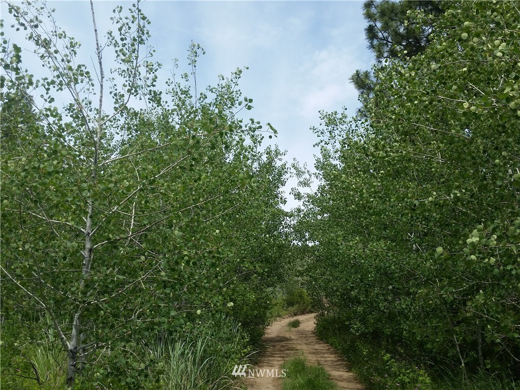 -tbd Cameron Lake Loop Road Okanogan, WA 98840 - Photo 7 of 10 Gallery Image 7