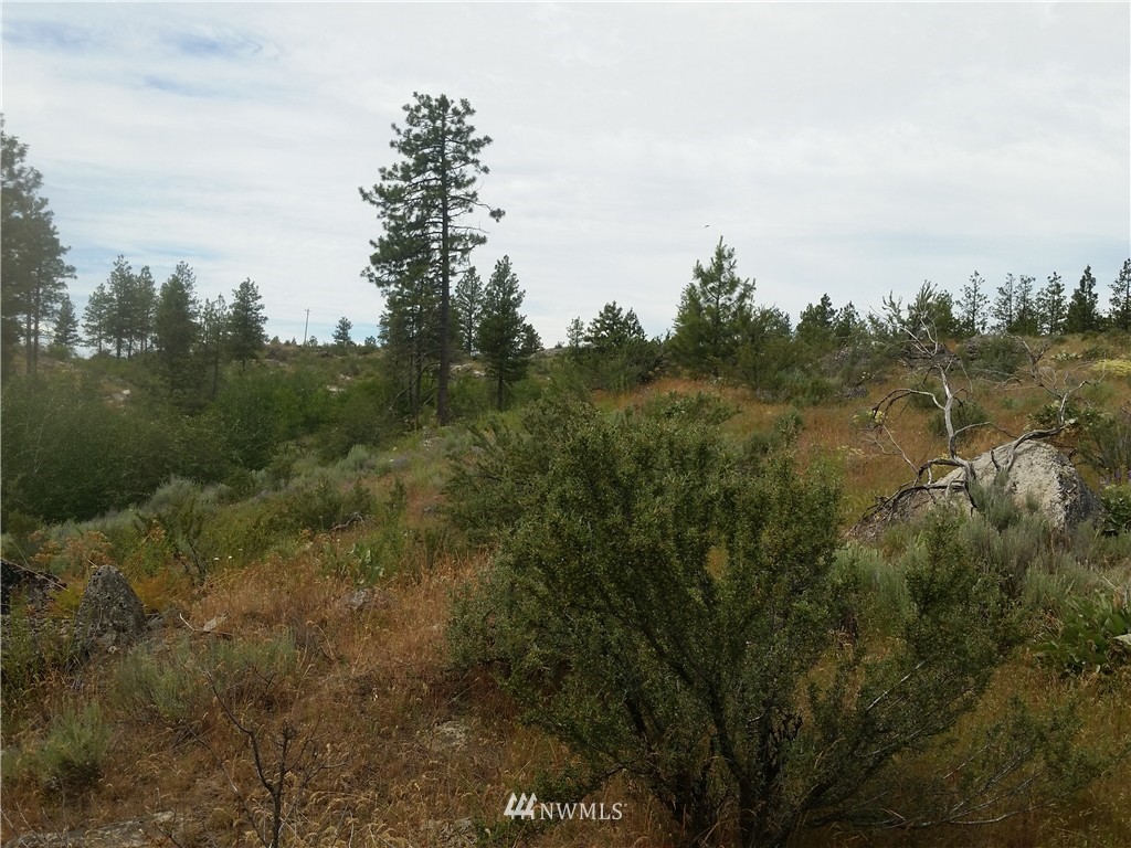 -tbd Cameron Lake Loop Road Okanogan, WA 98840 - Photo 8 of 10 Gallery Image 8