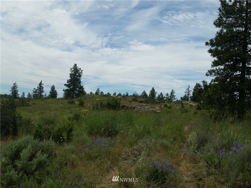 -tbd Cameron Lake Loop Road Okanogan, WA 98840 - Photo 10 of 10 Gallery Image 10