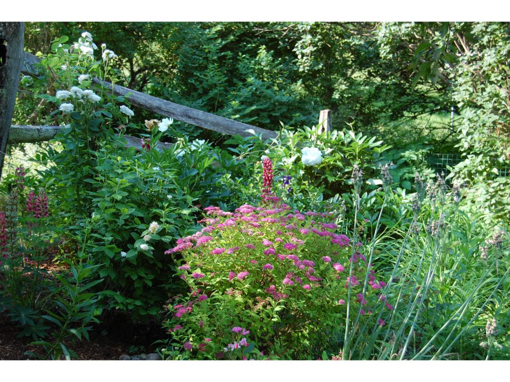81 Rogers Road Rupert, VT 05251 - Photo 21 of 28 Gallery Image 21