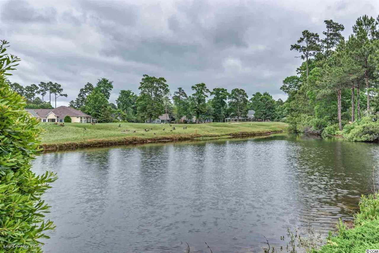 4492 Firethorne Drive Murrells Inlet, SC 29576 - Photo 25 of 25 Gallery Image 25
