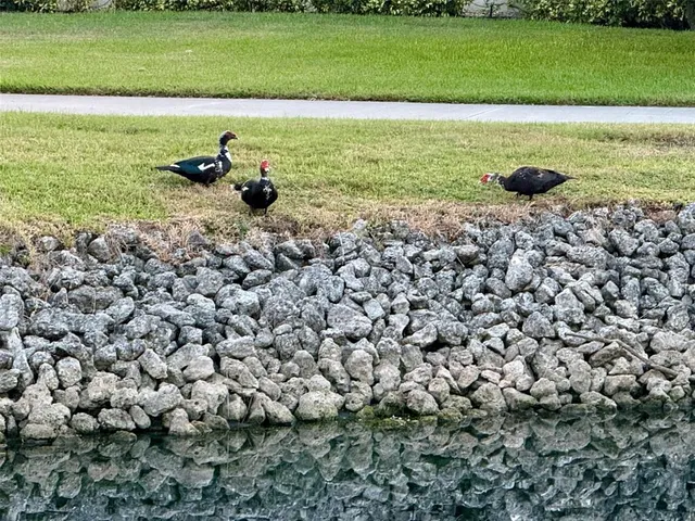 $295,450 | 4683 Winston Lane North, Unit 30, Sarasota, FL 34235