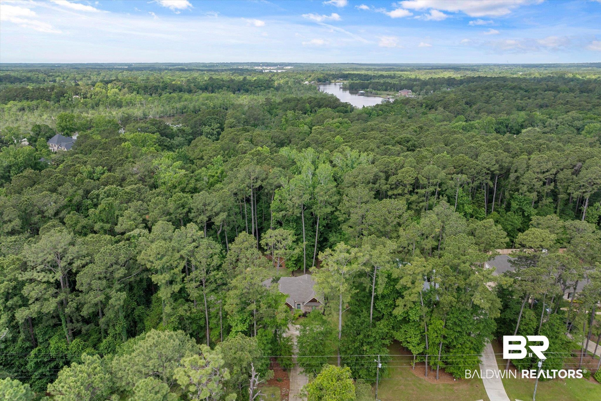 3250 Riviere Du Chien Road Mobile, AL 36693 - Photo 46 of 49