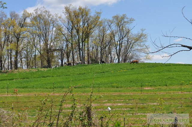 250 Milton Gragg Road Boone, NC 28607 - Photo 8 of 46 Gallery Image 8