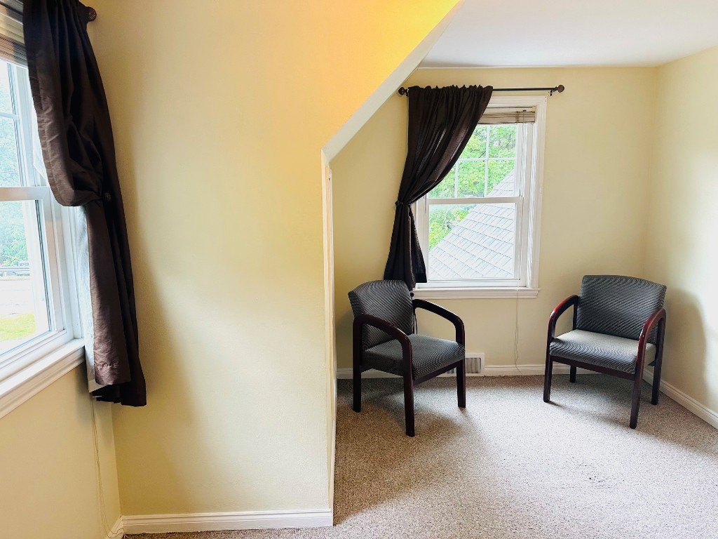 101 African Road Vestal, NY 13850 - Photo 38 of 42 Gallery Image 38