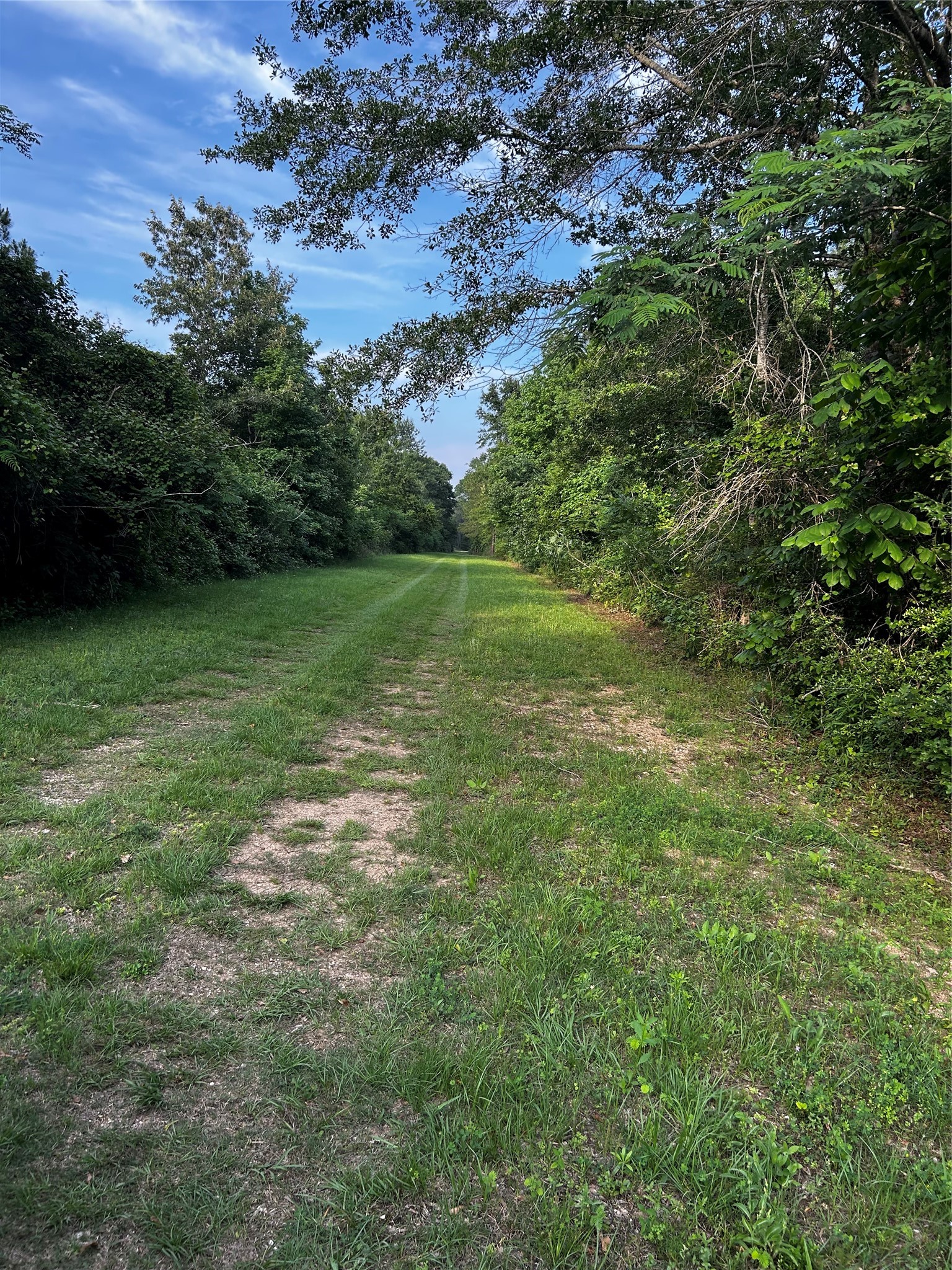 0 County Line Road Shepherd, TX 77371 - Photo 8 of 50