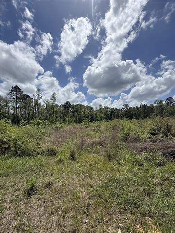 0 Newsome Road Center Point, LA 71323 - Photo 2 of 2