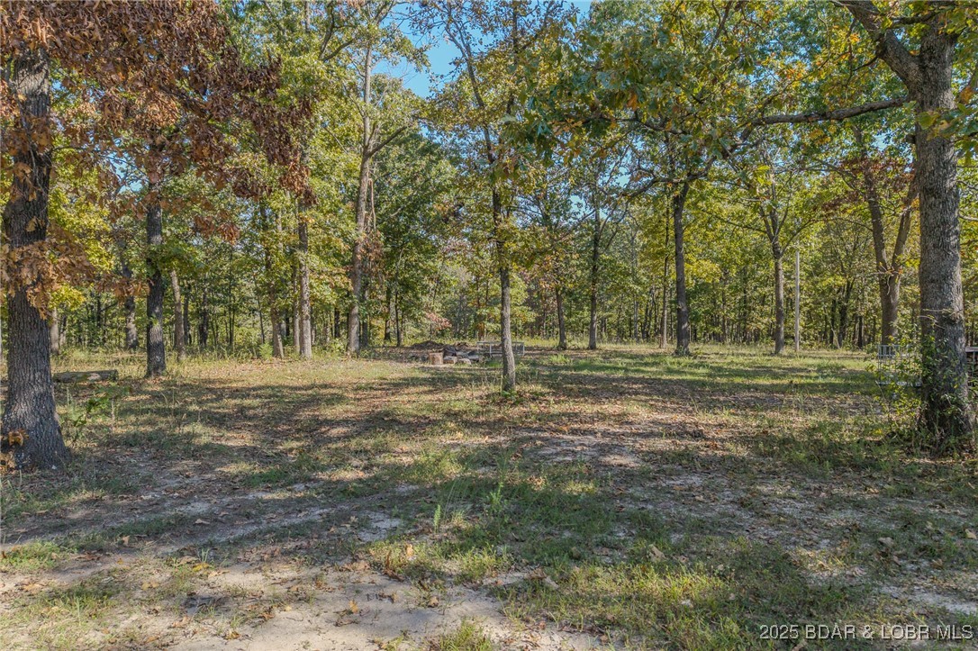 209 Two N Two Lane Camdenton, MO 65020 - Photo 9 of 66