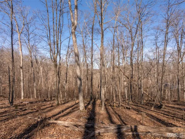 $140,000 | 2832 Morgan Lake Drive, Innsbrook, MO 63390