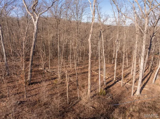 $140,000 | 2832 Morgan Lake Drive, Innsbrook, MO 63390