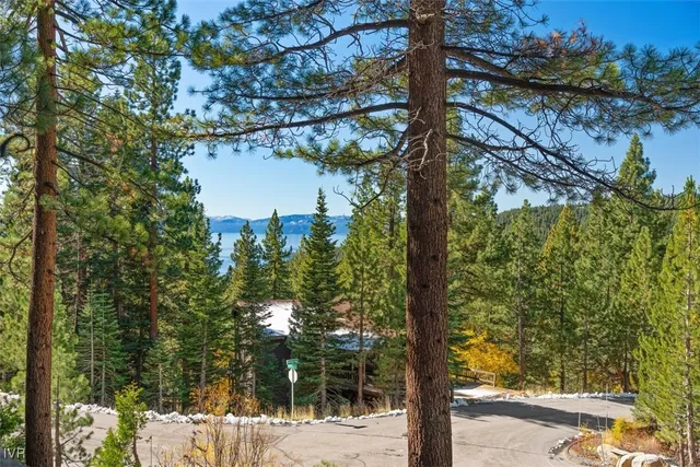 a view of a tree next to a yard