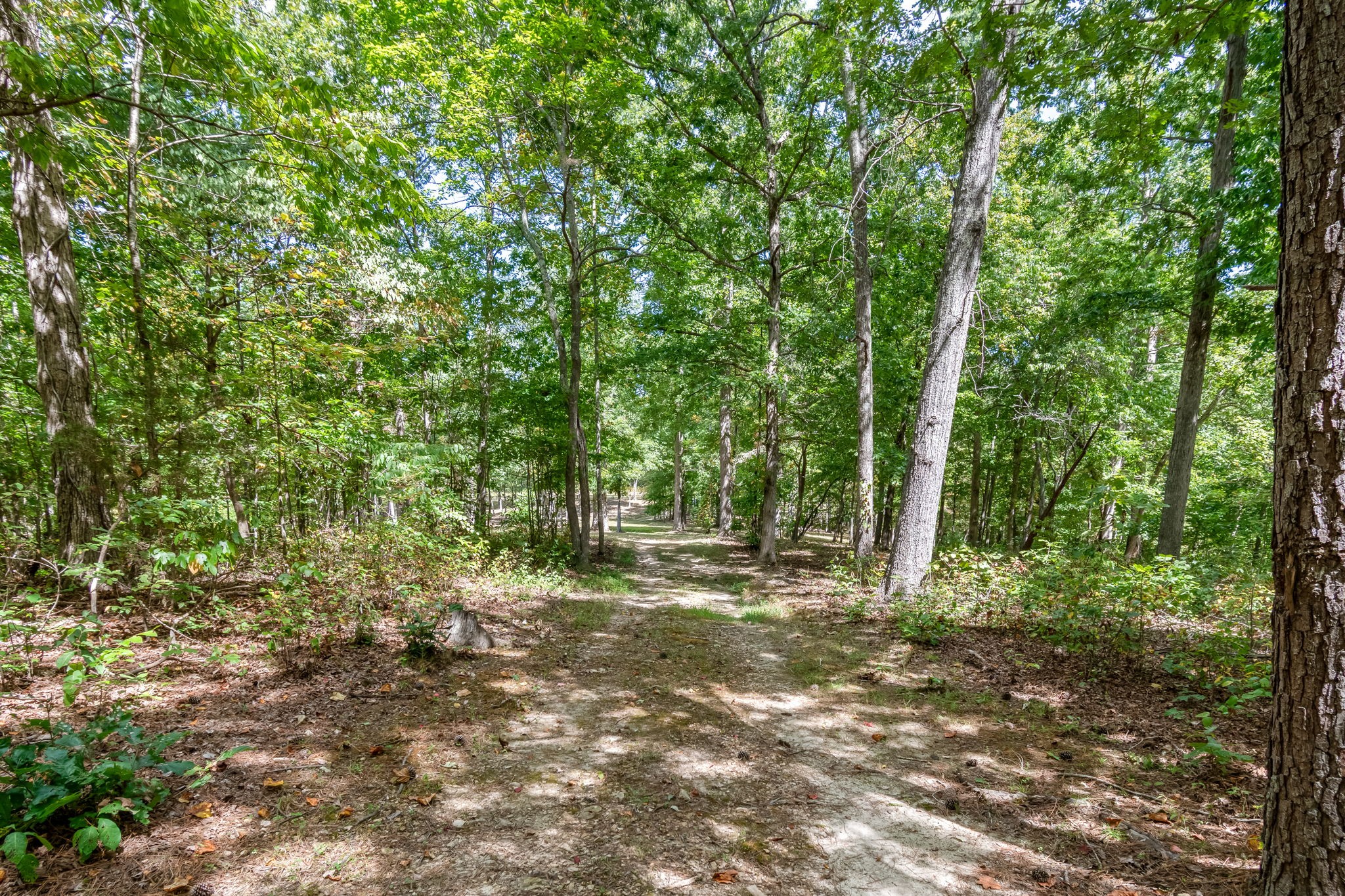 6021 Garrison Springs Road Franklin, TN 37064 - Photo 23 of 53 Gallery Image 23