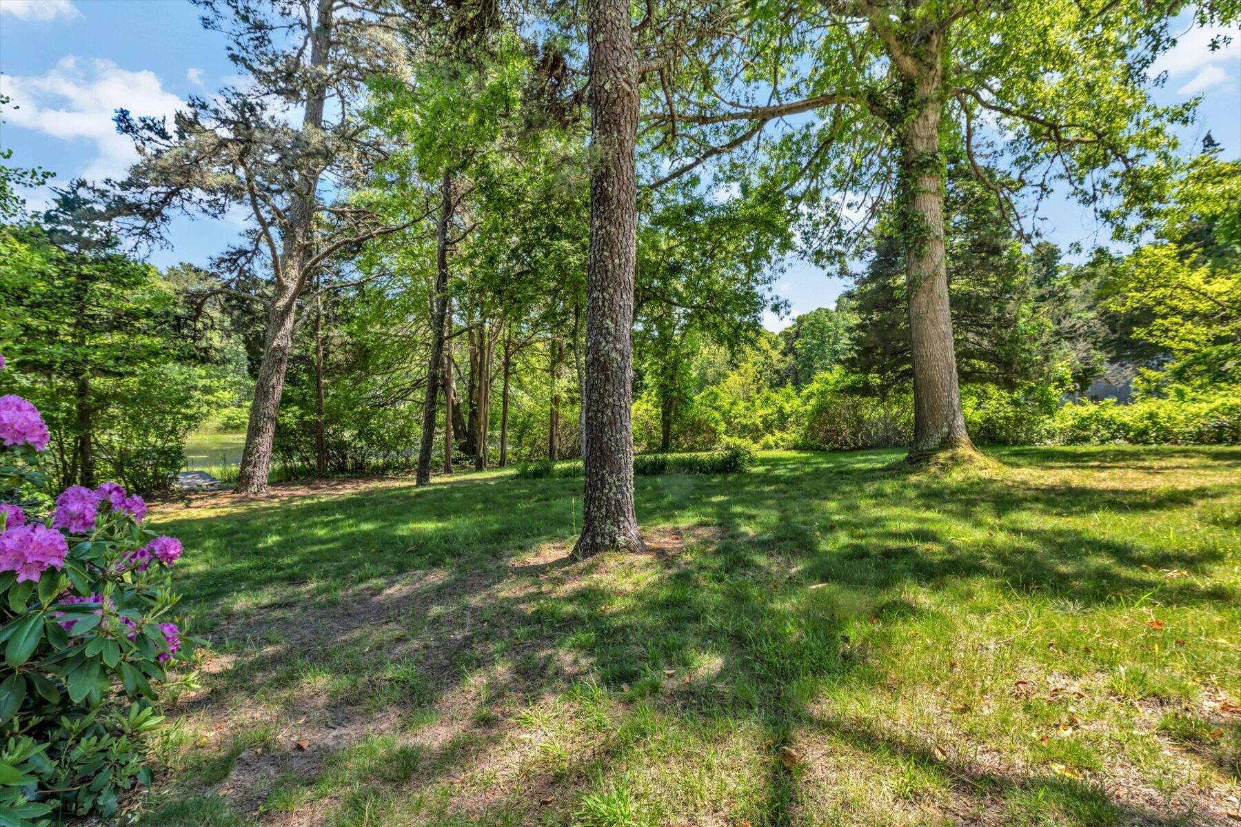 507 South Orleans Road Orleans, MA 02653 - Photo 45 of 62 16-IMGP6059