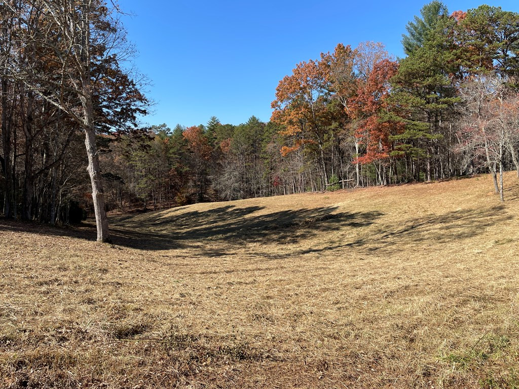 509 Martins Creek Ridge Road Murphy, NC 28906 - Photo 5 of 13