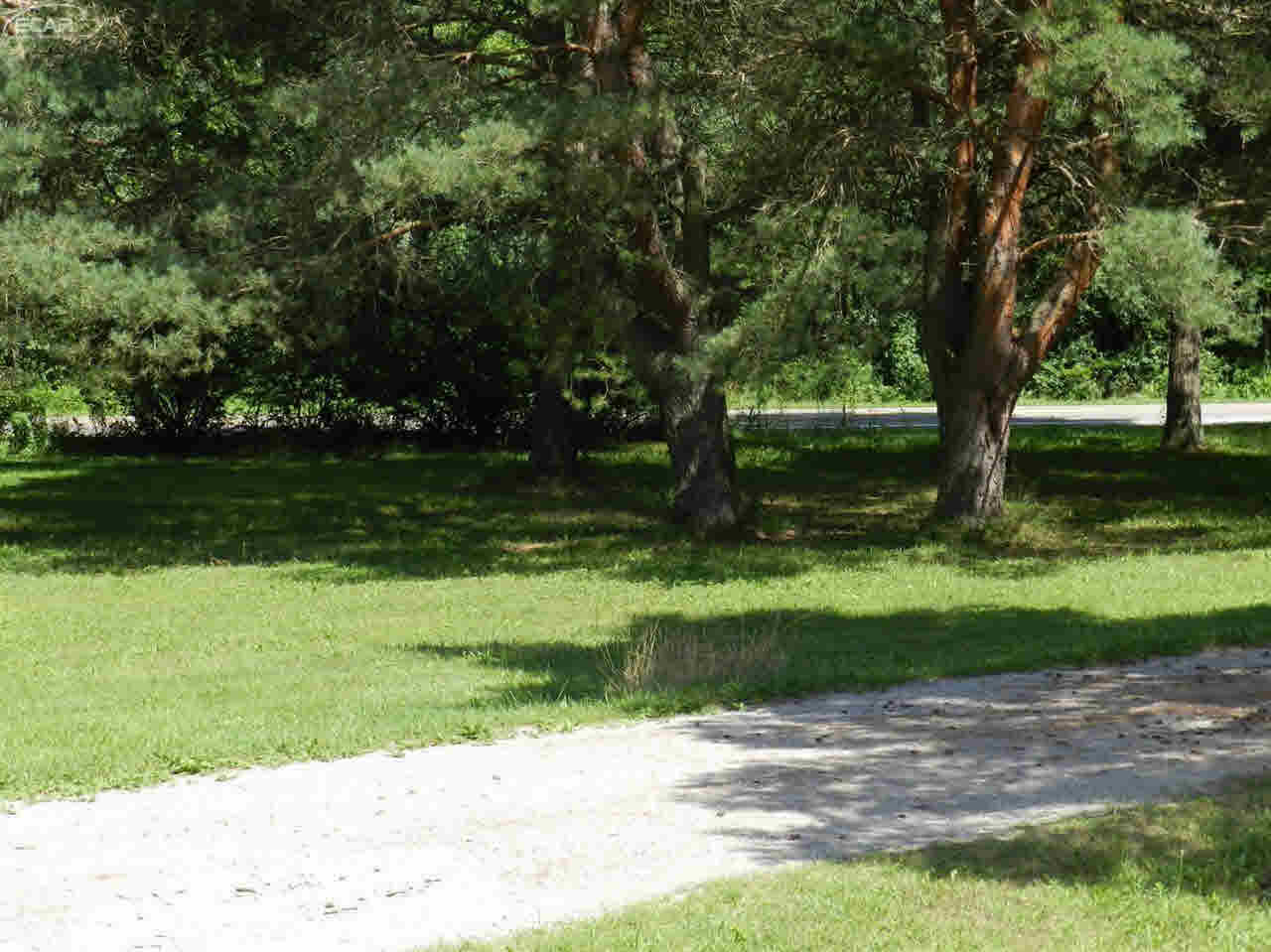 9155 North Webster Road Clio, MI 48420 - Photo 12 of 45