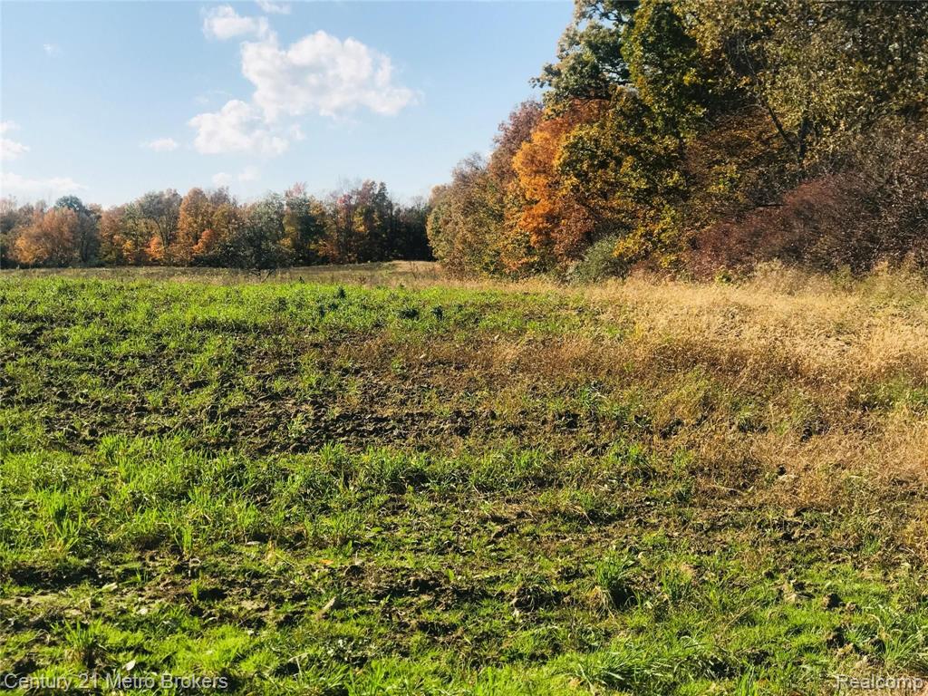 Parcel D Hadley Road Goodrich, MI 48438 - Photo 1 of 3