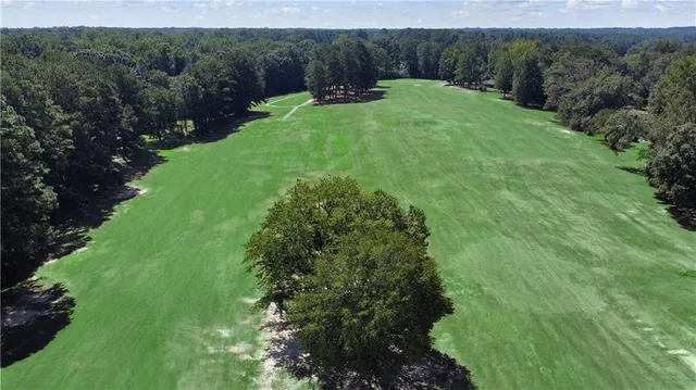 a view of a trees with a yard