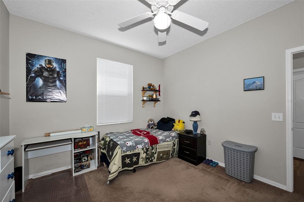 1821 Alvara Place Trinity, FL 34655 - Photo 30 of 63